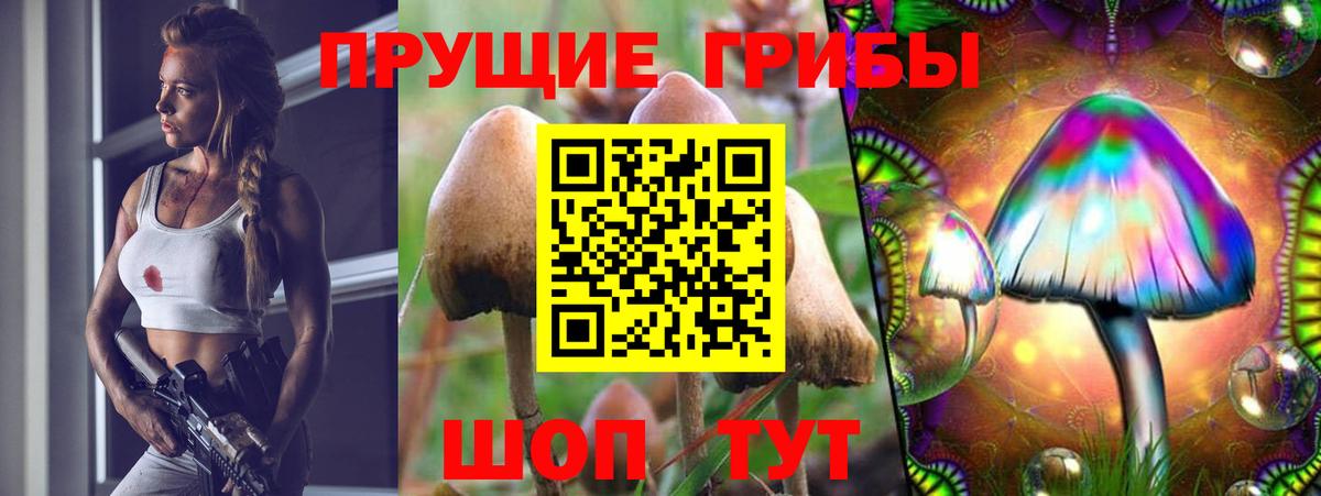 купить  сайты  Галлюциногенные грибы Psilocybine cubensis  Вход с VPN  Нальчик  Псилоцибиновые грибы MAGIC MUSHROOMS 