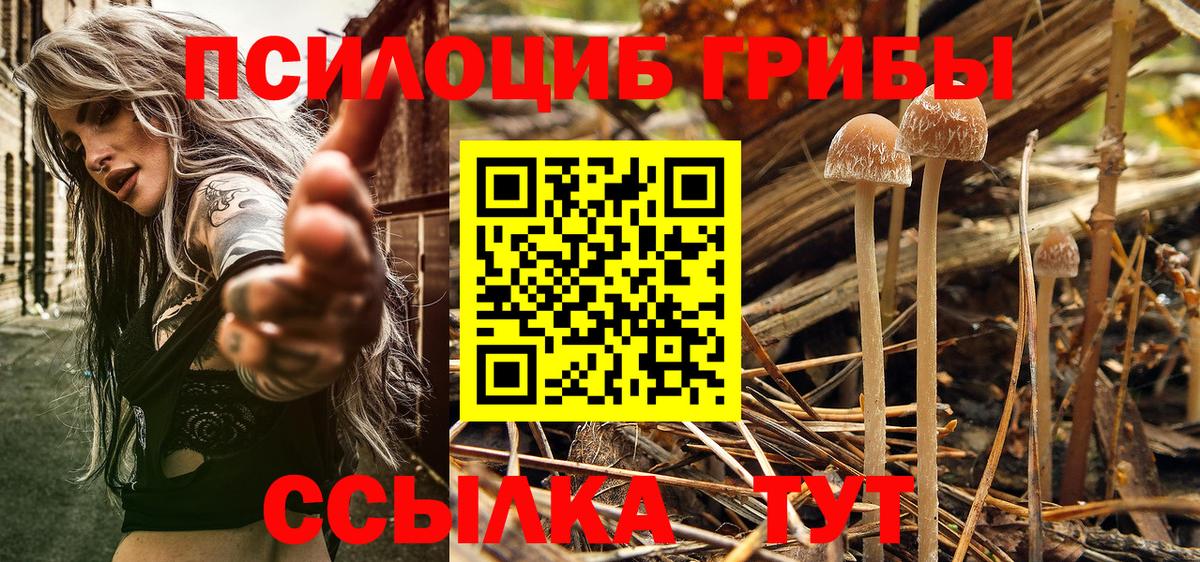 Галлюциногенные грибы Cubensis Нальчик